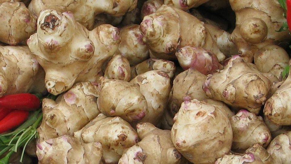 Ciapinabò