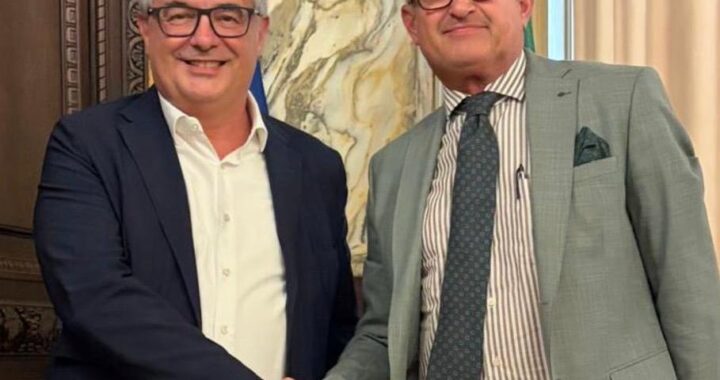 Il futuro della filiera del legno piemontese: Regione e Unioncamere puntano sulle imprese